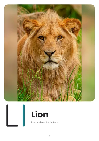 L is for Lion photo page